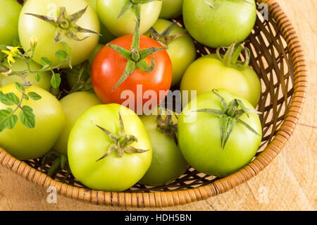 Grüne Tomaten in einem Weidenkorb auf einem Holztisch Stockfoto