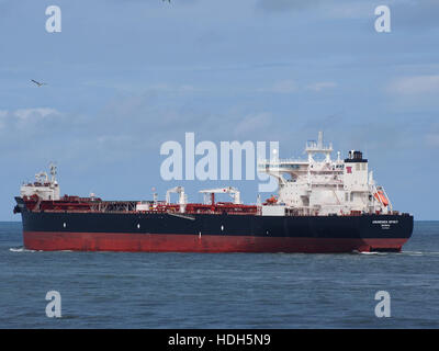 Amundsen Geist (Schiff, 2010) IMO 9438858 Hafen von Rotterdam pic1 Stockfoto