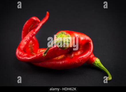 Rote Paprika auf dunklem Hintergrund mit vignette Stockfoto