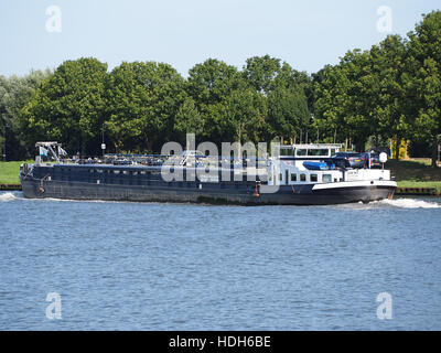 Deni (Schiff, 1960) ENI 02312365 Op Het Amsterdam-Rijn kanaal pic4 Stockfoto