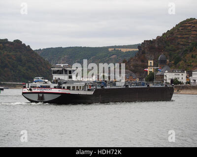 RP-Dordrecht (Schiff, 2013) auf dem Rhein in der Nähe von Sankt Goarhausen pic1 Stockfoto