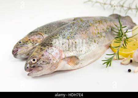 ungekocht gewürzte Forelle auf weißem Hintergrund mit Zitrone und Rosmarin Stockfoto