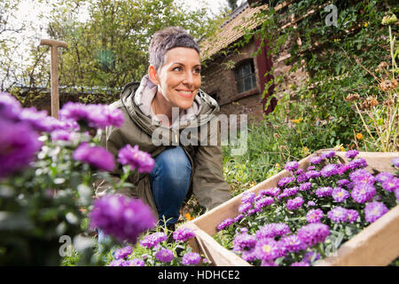 Glückliche Frau lila Blumen Pflanzen, im Hinterhof Stockfoto