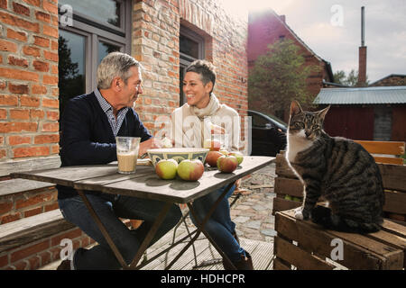 Glückliches Paar Äpfel essen während Tabby Katze auf Kiste im Hinterhof sitzt Stockfoto