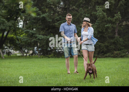 Ein junges Paar zu Fuß ihre Shar-pei/Staffordshire Terrier in einem park Stockfoto