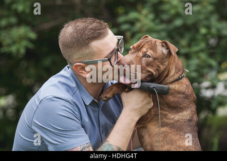 Ein junger Mann küssen seine Staffordshire Terrier/Shar-Pei Hund, close-up Stockfoto