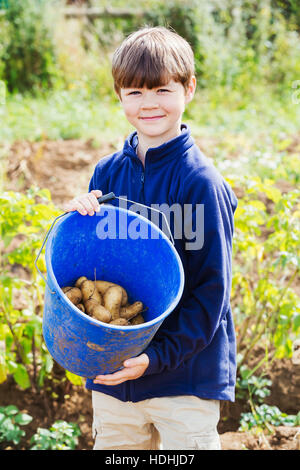 Ein Junge hält einen Eimer mit Kartoffeln in einem Feld. Stockfoto