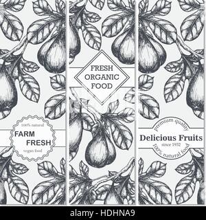 Satz von Hand gezeichnete Skizze Banner mit Feigen. Vintage Eco Essen zeichnen. Vektor-Illustration. Stock Vektor