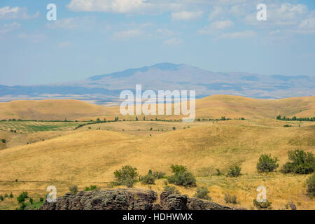 Endlose goldene Farbe kasachischen Rasen Landschaft Stockfoto