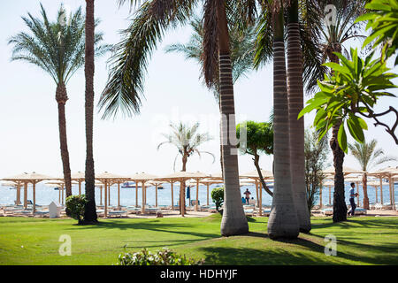 Rotes Meer, Sharm el Sheikh, Ägypten Stockfoto