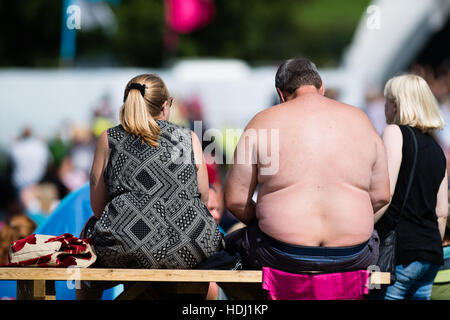 Die 2016 großen Tribut, Musikfestival am Stadtrand von Aberystwyth Wales UK, jedes Jahr am August Bank Holiday Wochenende. Stockfoto