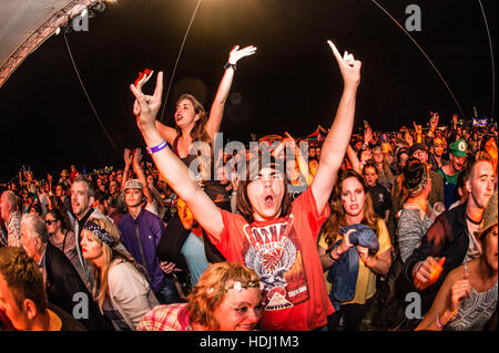 Das Publikum und Massen Anjoying 2016-große Hommage-Musik-Festival, am Stadtrand von Aberystwyth Wales UK, findet jedes Jahr am August Bank Holiday Wochenende. Stockfoto