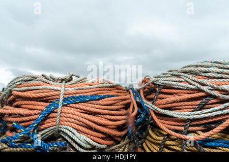 Hummerfalle Seile am Pier, Makrele Cove, Baily Fischerinsel. Stockfoto