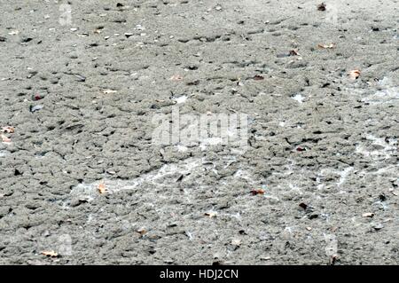 Teil eines Sees mit grauen Schlamm und abgestorbene Blätter vertrocknet Stockfoto