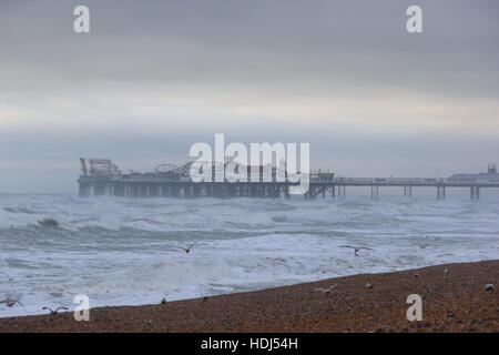 November 2016, BRIGHTON, UK: Sturm Angus bricht das Brighton 10k-Straßenrennen. Stockfoto