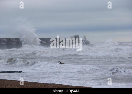 November 2016, BRIGHTON, UK: Sturm Angus bricht das Brighton 10k-Straßenrennen. Stockfoto