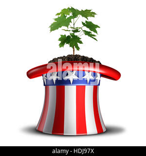 Konzept des amerikanischen Wachstums und investieren Sie in die USA Idee oder sozialen Sicherheit in Amerika Symbol als ein Baum Bäumchen wächst in einer Flagge unter dem Motto Hut mit 3D Stockfoto