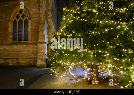 Weihnachtsbaum und alte Kirchenfenster in St. Thomas Platz, Newport, Isle Of Wight. Stockfoto