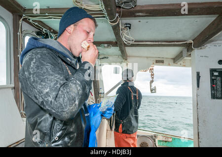 Sternman auf Hummer-Boot schnappt sich einen Bissen von Sandwich zwischen Fäden fallen, Yarmouth Stockfoto