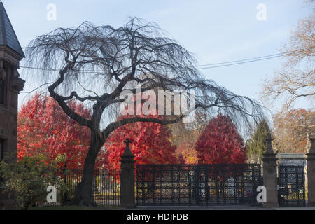 Eingang zu den national historic Landmark erklärt Greenwood Friedhof mit den flammenden Ahornbäumen entlang Fort Hamilton Parkway in Brooklyn, New York Stockfoto