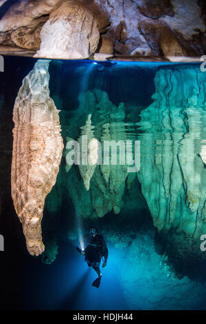 Taucher in Chandelier Cave, Palau Stockfoto