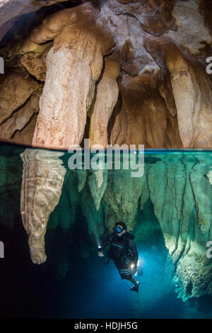 Taucher in Chandelier Cave, Palau Stockfoto