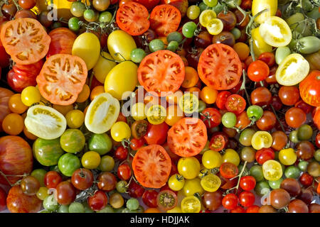 Cherry-Tomaten. Tomaten, sie kommen in vielen verschiedenen Farben und Größen. Stockfoto