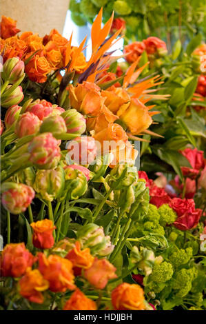 Orange Tulpen im Blumenladen in den Niederlanden Stockfoto