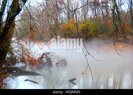 Landschaft, Nottaway River, Stony Creek, Sussex County, Virginia USA, aus dem Buch "My Virginia Flüsse" von Will Daniel Stockfoto