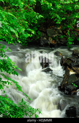 vertikale Landschaft, Wasserfall, Appomattox River, Dinwiddie County, Virginia, USA Stockfoto