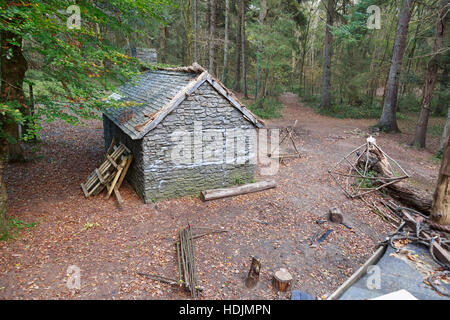 Waldland Filmset mit Hütte und Requisiten Stockfoto