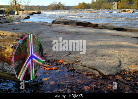 Kunst auf einem Baumstamm in Hollywood Rapids, Belle Isle, Teil des James River Park Systems in Richmond, Virginia, USA. Landschaft Stockfoto