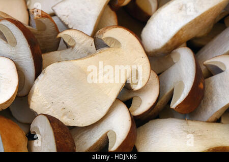 Frische Herbstsaison halbiert geschnitten Steinpilze (Ceps, Boletus Edulis) auf Einzelhandel Bauernmarkt, Nahaufnahme, hoher Winkel Stockfoto