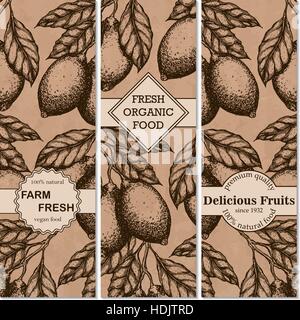 Zitrone-vertikale Vintage Banner-Sammlung. Zitronen-Hand in Tinte Abbildung gezeichnet. Vintage Vektorgrafik. Linie Kunst Grafik. Stock Vektor