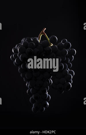 Weintraube mit schwarzem Hintergrund Stockfoto