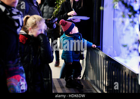 Kaufen Sie Windows Weihnachten Animationen in Les Galeries Lafayette Haussmann, Paris, Frankreich Stockfoto