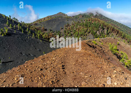 Schuss von der berühmten trekking eingeschlagene "Ruta de Los Vulkane", im Süden von La Palma in der Nähe Los Canarios. Stockfoto