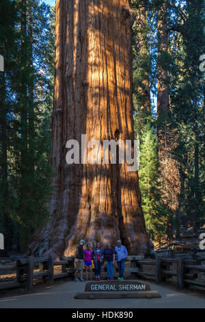 Sequoia NP, Kalifornien - 14. November: Familie posiert für ein Foto mit General Sherman Tree. 14. November 2016, Sequoia NP, Kalifornien. Stockfoto