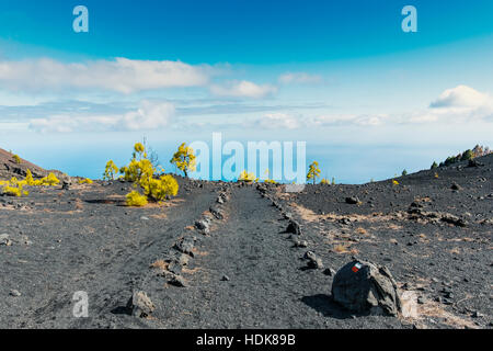 Schuss von der berühmten trekking eingeschlagene "Ruta de Los Vulkane", im Süden von La Palma in der Nähe Los Canarios. Das Foto zeigt eine Spur von vulkanischem Gestein, w Stockfoto