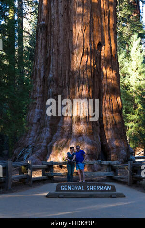 Sequoia NP, Kalifornien - 14. November: Touristen posieren für ein Foto mit General Sherman Tree. 14. November 2016, Sequoia NP, Kalifornien. Stockfoto