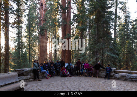 Sequoia NP, Kalifornien - 14. November: Große Familie posieren für ein Foto auf der Rückseite des General Sherman. 14. November 2016, Sequoia NP, Kalifornien. Stockfoto