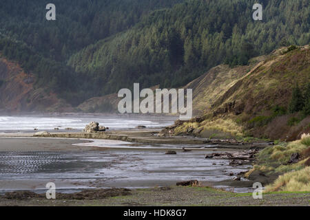 Meyers Beach, Oregon - 27 Oktober: Gruppe von Freunden an einem schönen Nachmittag am Strand zu erkunden. 27. Oktober 2016, Meyers Beach, Oregon. Stockfoto