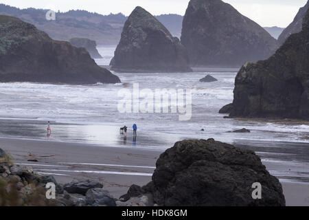 Meyers Beach, Oregon - 27 Oktober: junge Familie genießen Sie einen schönen Nachmittag auf der Küste von Oregon. 27. Oktober 2016, Meyers Beach, Oregon. Stockfoto