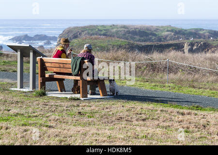 Kalifornien - November 03: Paar mit einem Snack mit Küsten Ausblick in den Hintergrund und einen kleinen Welpen Nahrung zu erbetteln. 3. November 2016, California Stockfoto