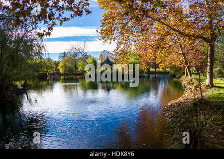 beruhigende Herbst Szene mit einem ruhigen Teich und Blätter in einer Vielzahl von Farben Stockfoto