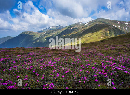 wunderschöne herbstliche Landschaft in Europa, Beauty-Welt Stockfoto