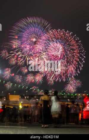 die letzte Tokio-wan Hanabi Fes. Feuerwerk, Nacht, Festival, kurze Lebensdauer, Stockfoto