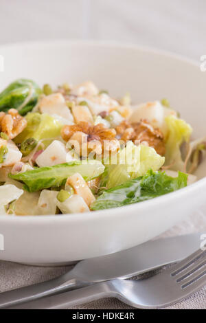 Waldorf-Salat in einer weißen Schüssel serviert. Nahaufnahme der traditionelle amerikanische Gerichte mit Gemüse, Früchten und Nüssen. Stockfoto