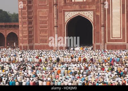 Tausende von Menschen versammeln sich vor der Moschee am Taj Mahal in Agra, Indien, das moslemische Festival von Eid Ul-Fit zu feiern Stockfoto
