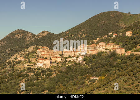 Abendsonne auf das Haus des alten Dorf von Belgodere in der Balagne Region Korsikas Stockfoto